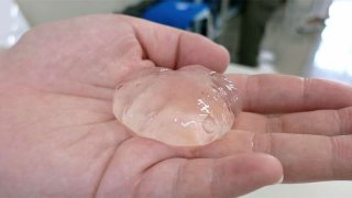 水の玉作り ワクワク理科実験教室#2