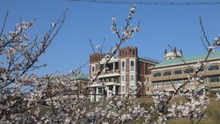 片山学園 春のおとずれ[動画]