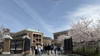 学生寮  お花見
