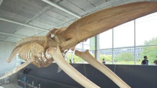 カナダ短期留学報告⑨　参加生レポート