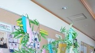 学生寮　七夕