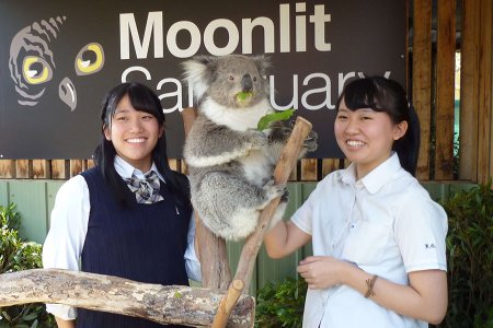 オーストラリア短期留学