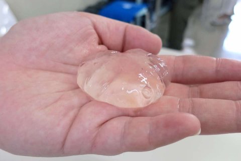 前回の開催レポート