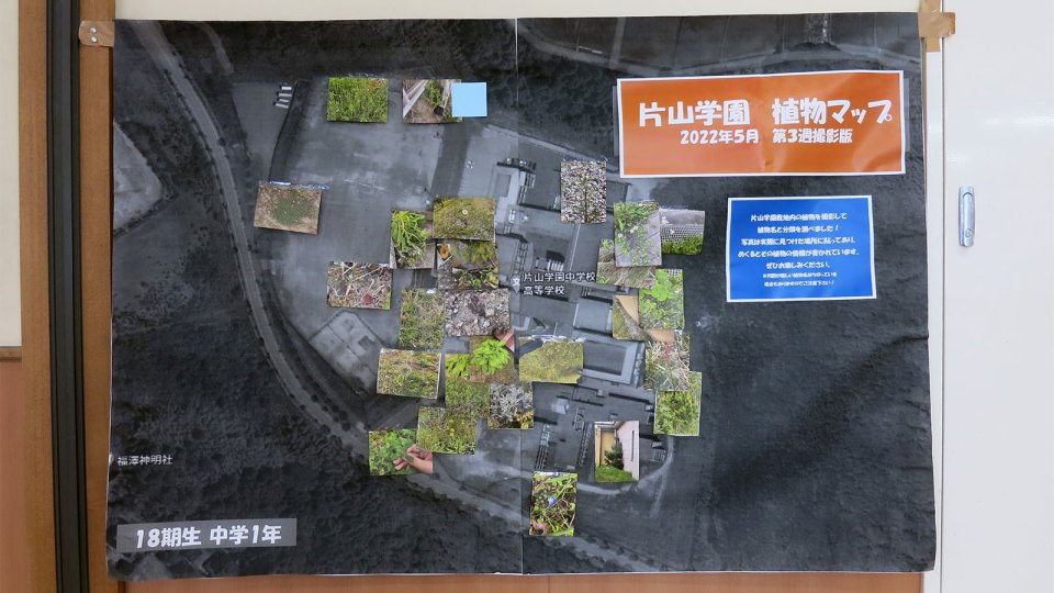 片山学園の植物マップ