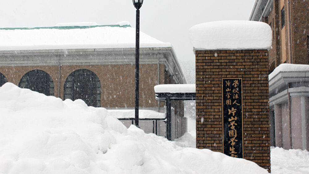 何年かに1度の大雪