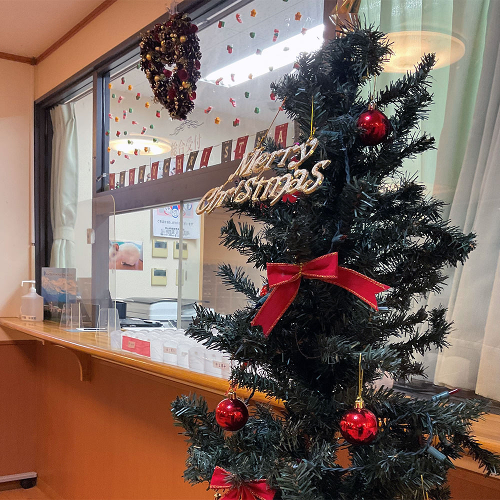 受付を彩るクリスマスツリー